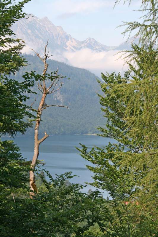 Neuschwanstein juni 2011 - 042